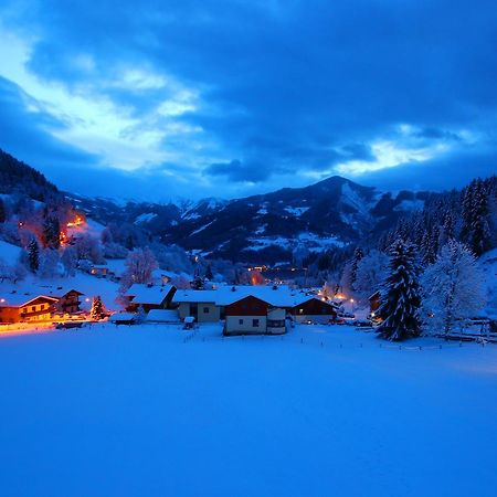 Landhaus Marlies Apartments Zell am See Dış mekan fotoğraf