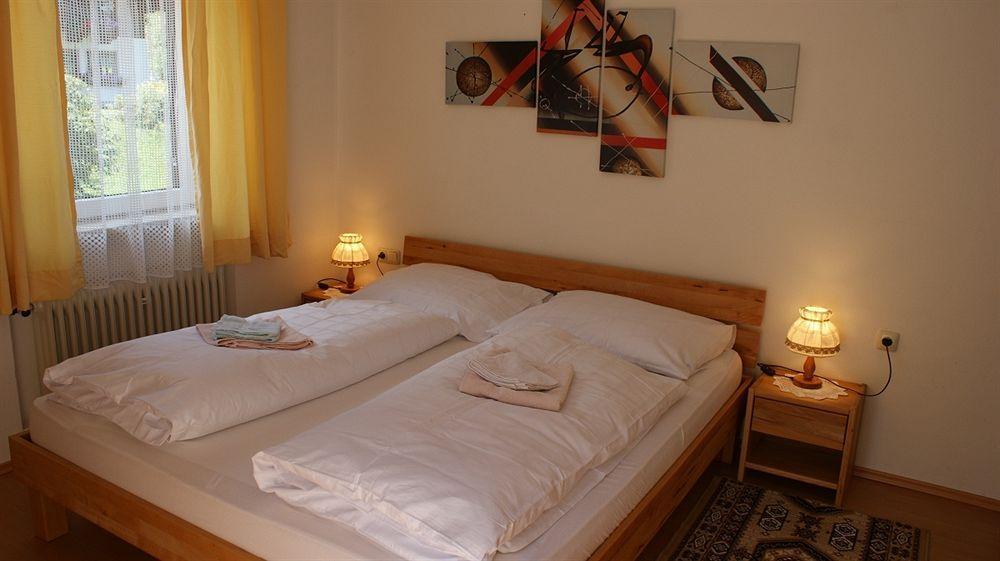 Landhaus Marlies Apartments Zell am See Dış mekan fotoğraf