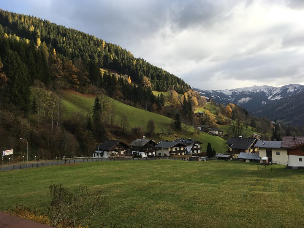 Landhaus Marlies Apartments Zell am See Dış mekan fotoğraf