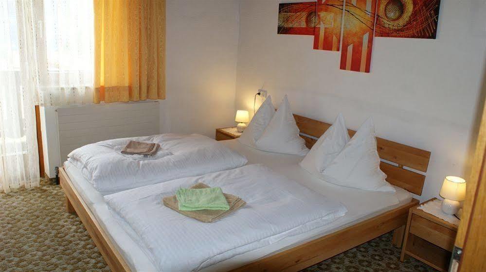 Landhaus Marlies Apartments Zell am See Dış mekan fotoğraf