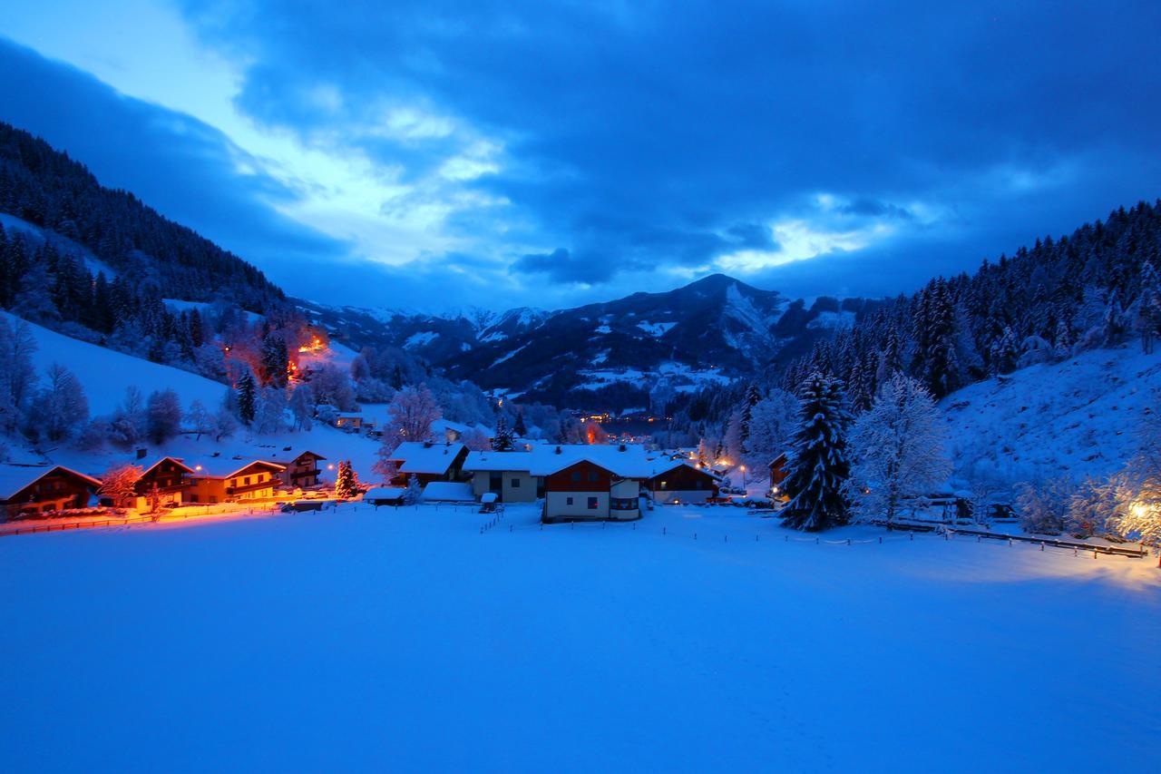 Landhaus Marlies Apartments Zell am See Dış mekan fotoğraf